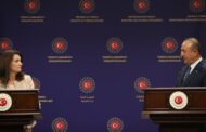 وزيرة الخارجية السويدية تتهم أنقرة بتقسيم الأراضي السورية واضطهاد الأكراد وتطالبها بالانسحاب.. وجاويش أوغلو يرد 